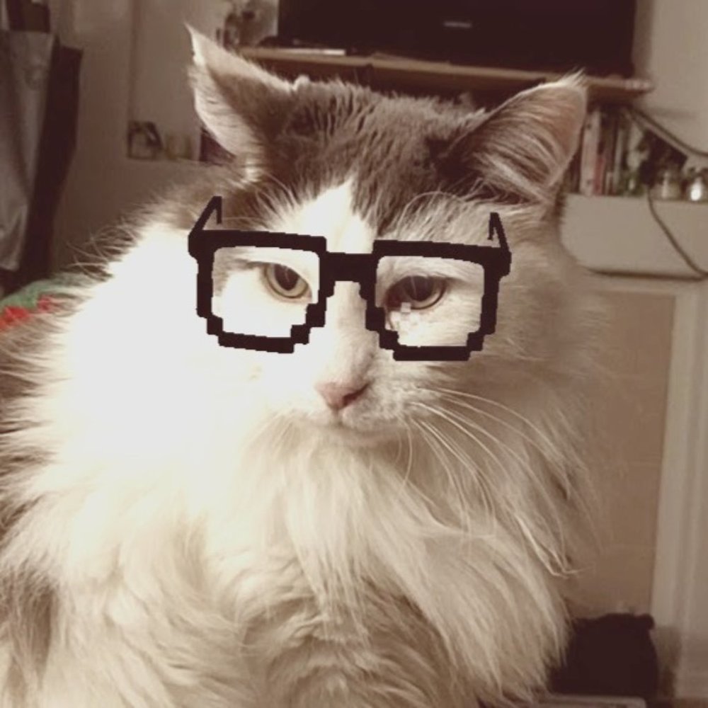 Meet your Posher, Kira